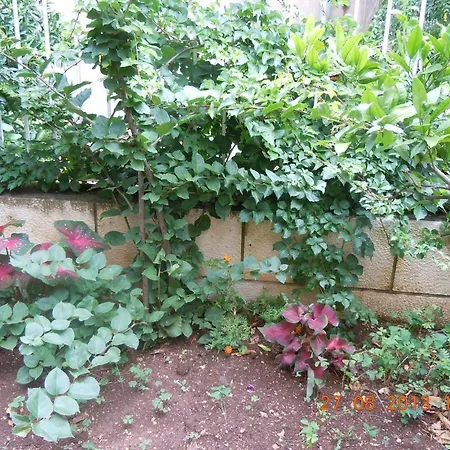 센트럴 아파트먼트 두브로브니크