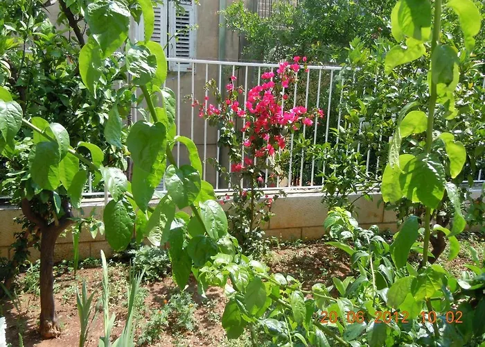 Lägenhet Central Apartment Dubrovnik *