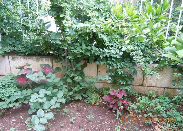 Central Apartment Dubrovnik