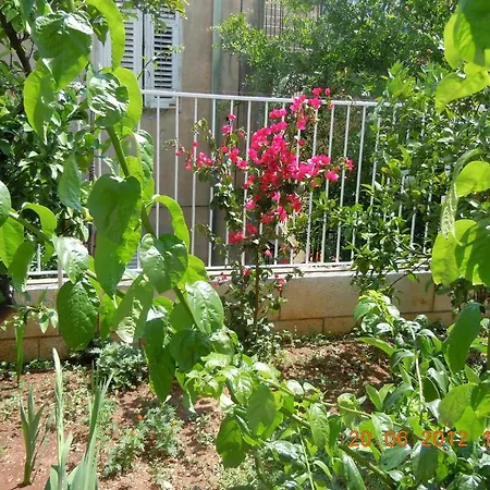 Appartement Central Apartment Dubrovnik *